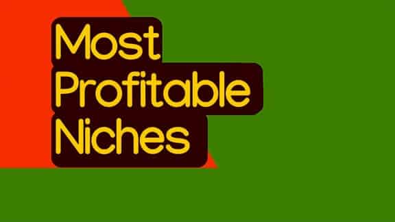 Most profitable blog niches