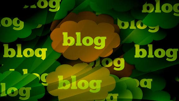 What is a blog niche