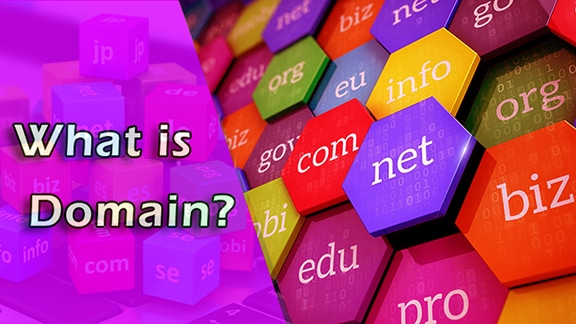 What is Domain