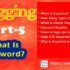 Blogging Part: 5 | What Is Keyword? | How Many Types of Keywords? | Why Is Keyword Important? – Best Guide