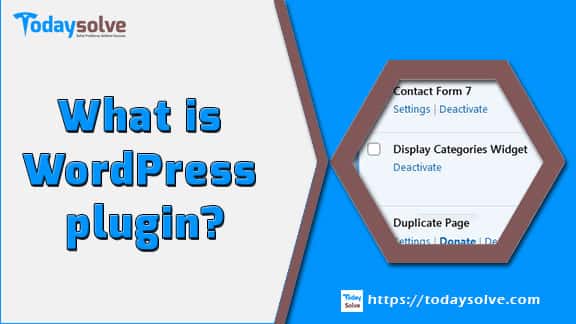 What is WordPress plugin